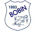 Bobin Public School