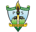 Collaroy Plateau Public School - Excelsior