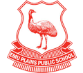 Emu Plains Public School - Our Children Our Future